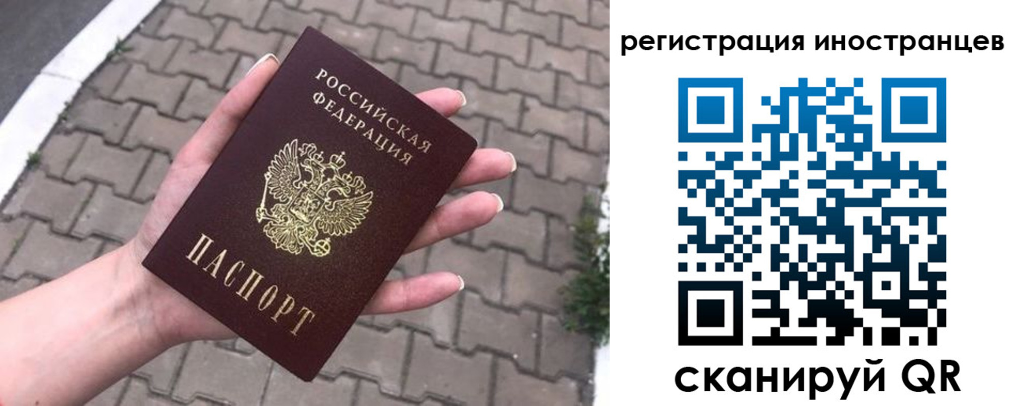 регистрация в Петропавловске-Камчатском